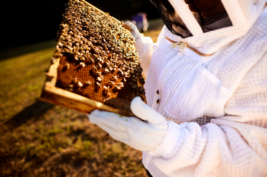 New website launched!